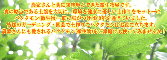 �ȥåס�����